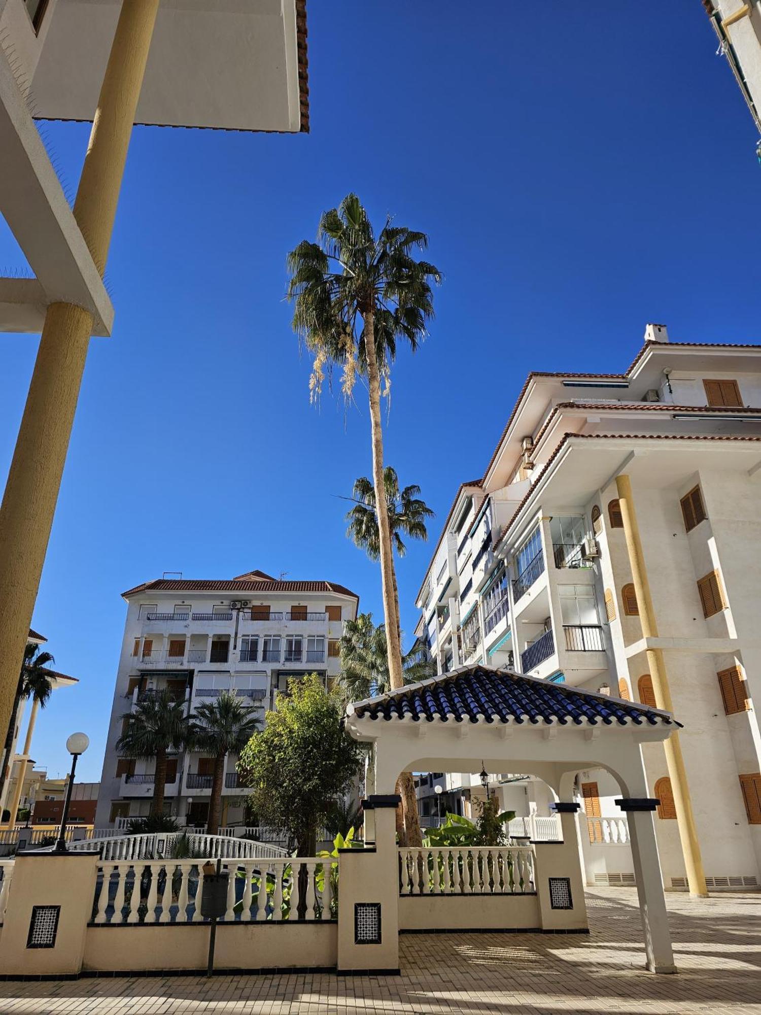 At Costa Blanca - Cozy Apartment With Pool Ла-Мата Экстерьер фото